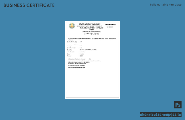 Beispiel- und PDF-Vorschau des Mehrwertsteuerregistrierungszertifikats von Tamil Nadu, Indien